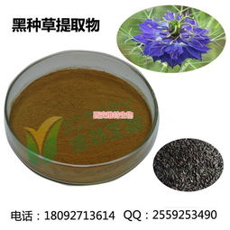 黑種草提取物的臨床應用 黑種草 西安維特生物科技 查看 最低優惠價格