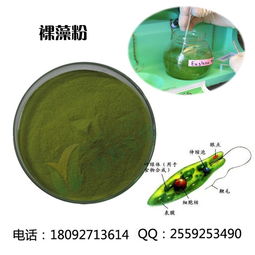 裸藻排毒養顏功效 裸藻 西安維特生物科技 多圖