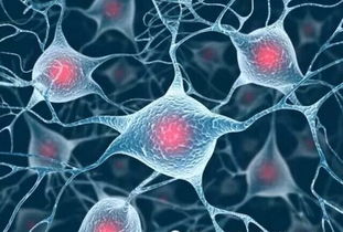 怎么在上海注冊生物科技公司