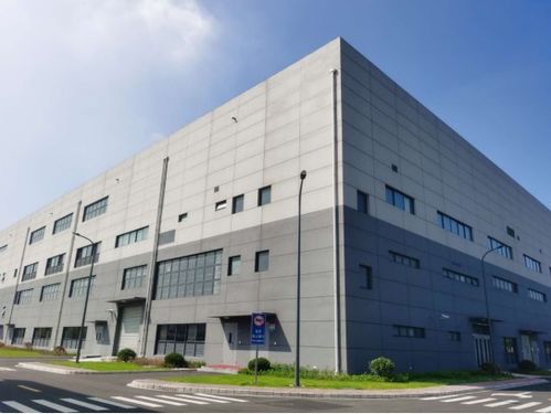 長生不老丹 風頭正勁, 新老年人 開始過上 潮生活