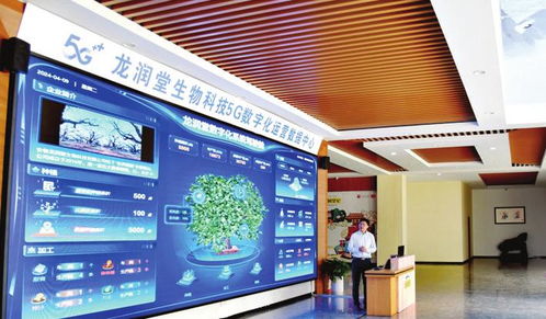 創(chuàng)新轉型乘風起數智新生態(tài)浪潮奔涌